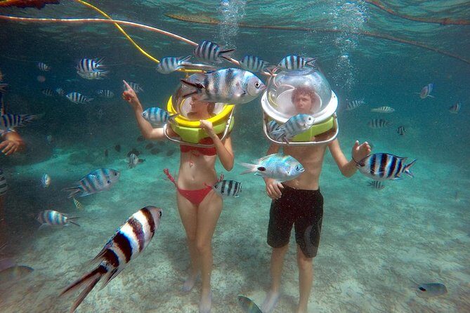 Ile aux Cerf: Speed boat with Parasailing & Tube Riding and Lunch - On Ile aux Cerfs: Beach, Snorkeling, and Activities