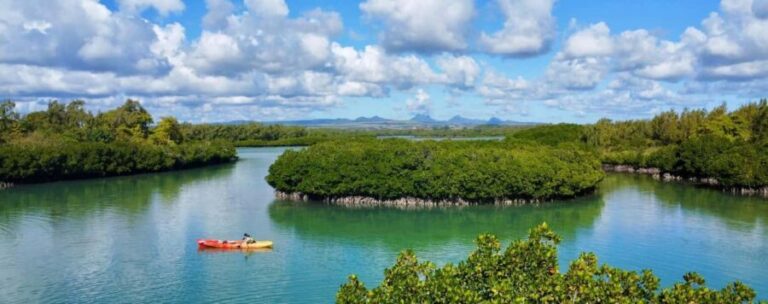 Ile d Ambre Kayaking - An In-Depth Look at the Ile d’Ambre Kayaking Tour