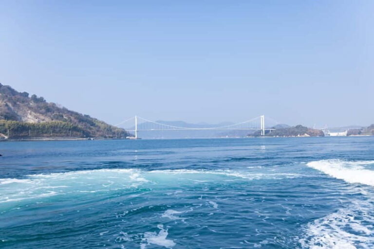 Imabari: Cruising on Fast Tides and Tobishima Kaido Bus Tour - Pricing and Value