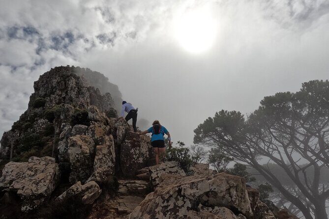 Incredible Table Mountain Guided Day Hike or Trail Run - Itinerary Breakdown: What to Expect?