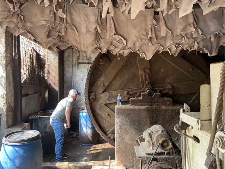 Inside Dharavi: Unveiling Mumbai's Slum Culture Tour - Practicalities and Value