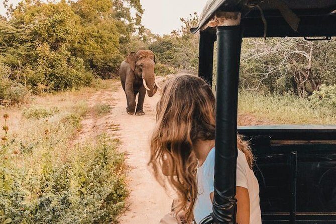 Instagramble Sri Lanka - 7 Days - How Do We Rate the Value?