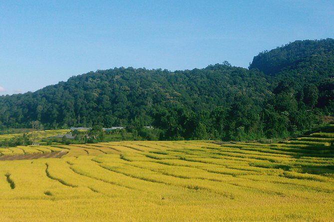 Inthanon Day Trip from Chiang Mai with Lunch - Group or Private - What the Reviews Tell Us