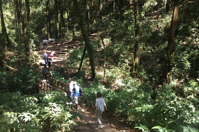 Inthanon Small-Group with Kew Mae Pan Trail from Chiang Mai include Lunch - Who Will Love This Tour?