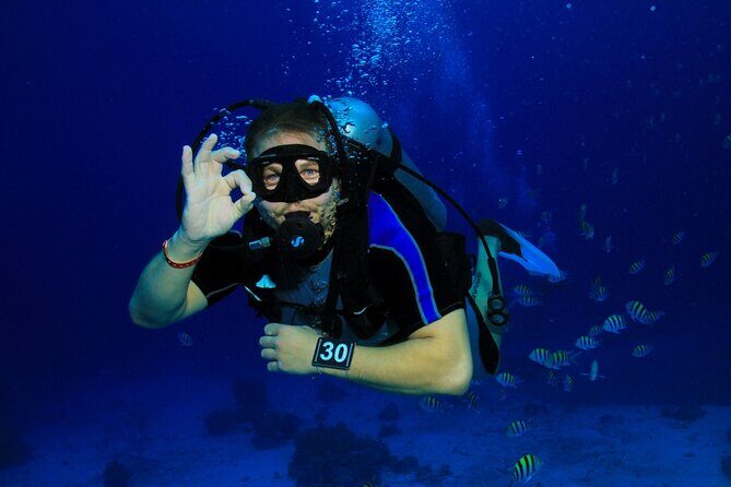 Intro Scuba Diving: 2 Dive Stops With Lunch & transfer - Hurghada - The Practical Details