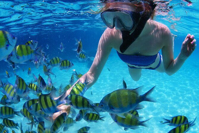 Intro Scuba Diving 2 Stops Trip with Transfers & Lunch - Hurghada - What the Experience Means for You