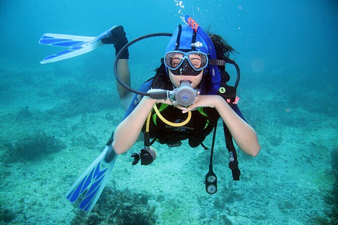 Intro Scuba Diving For Beginners With Lunch in Hurghada - The Experience: Diving Spots and Marine Life