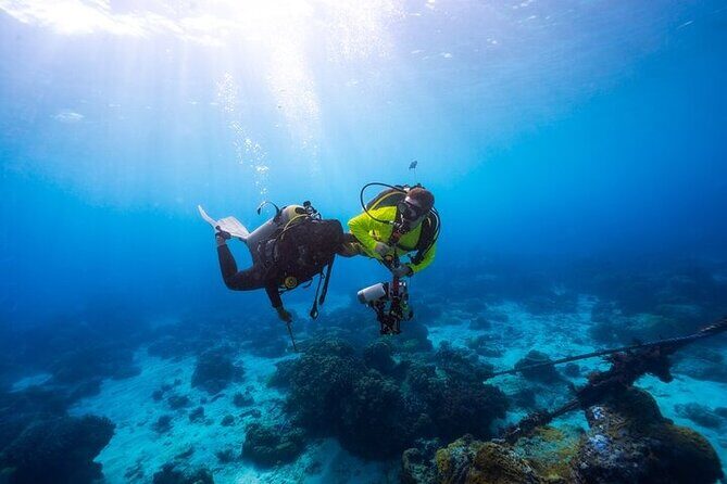 Intro Scuba Diving for beginners With (Lunch,Transfer)  Hurghada - Analyzing the Value: Is It Worth It?