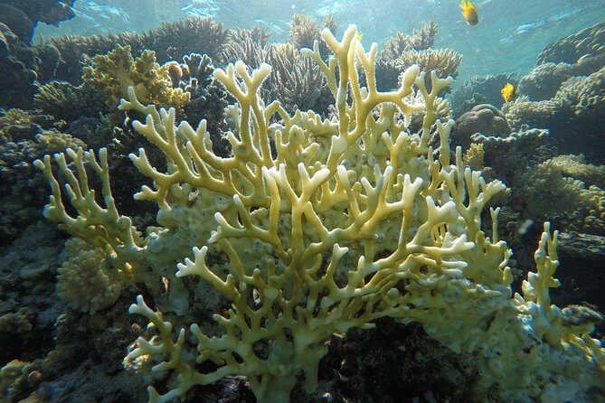 Intro Scuba Diving - The Itinerary: A Full Day of Underwater Discovery