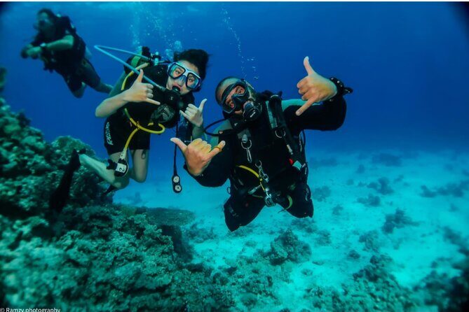 Introduction: Diving from the Reef in Sharm El Sheikh - Authentic Feedback from Travelers