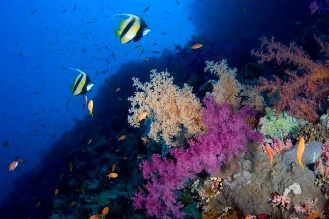 Introductory Dive in Eilat - Exploring the Tour: A Detailed Breakdown