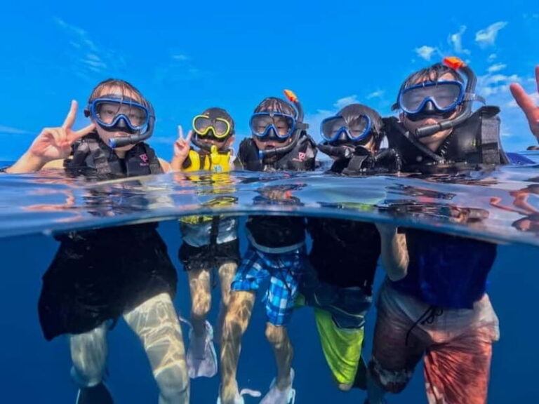 Iriomote: Boat Snorkeling Tour at Barasu Island - What to Expect from the Snorkeling Adventure