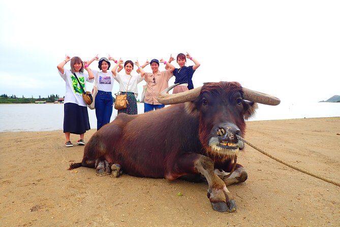 Iriomote Island 1 Day Canyoning & Yubu Island Sightseeing - FAQ