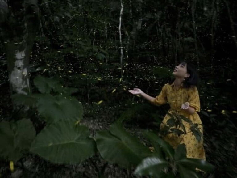 Iriomote Island Limited Time Yaeyama Firefly Viewing Tour - Practical Value and Comfort