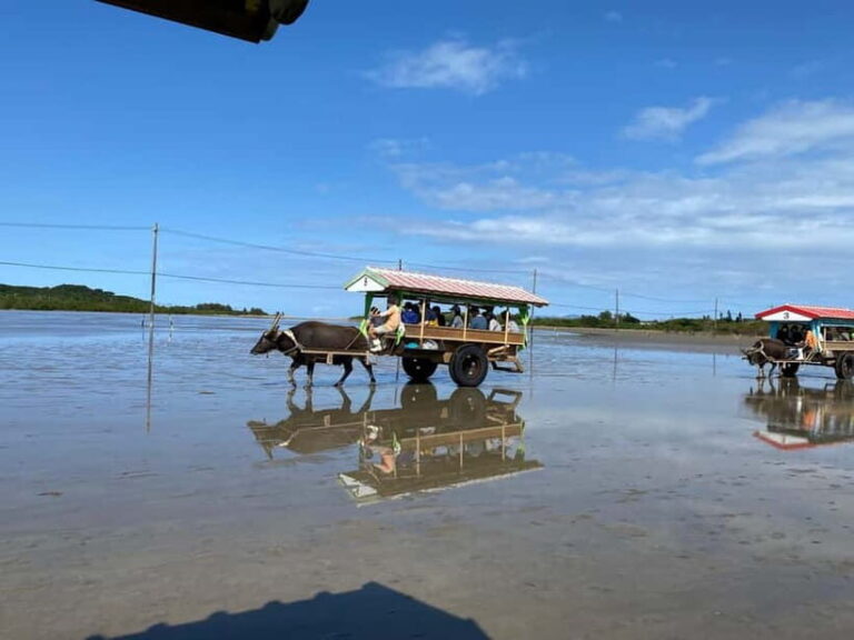 Iriomote: Mangrove SUP or Canoe and Yubujima sightseeing - Introduction: An Authentic Okinawa Experience