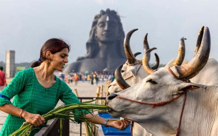 Isha Yoga Center from Coimbatore - Day Trip with Lunch - Is This Tour Worth Its Cost?