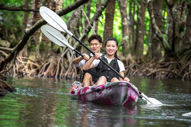 Ishigaki Mangrove Canoe / SUP & Taketomi Island Exploration - Final Thoughts