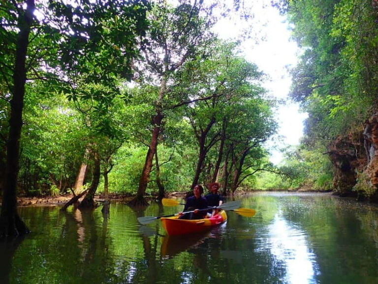 Ishigaki: Mangrove SUP or Canoe & Phantom Island Snorkeling - The Experience in Detail: What Makes It Special