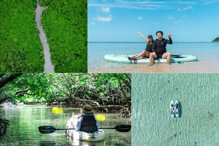 Ishigaki:Mangrove&Sea SUP/Kayak Tour with SLR&Drone footage - Who Should Consider This Tour?
