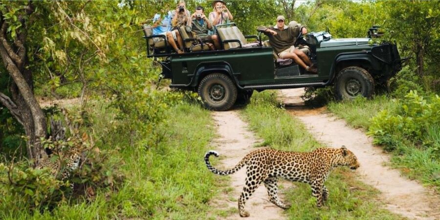 Isimangaliso Day Tour & Hippo & Croc Boat Cruise From Durban - What Makes This Tour Stand Out