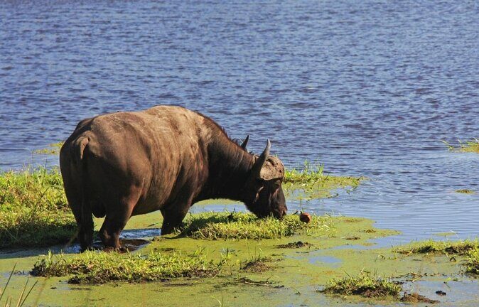 iSimangaliso Wetland Park, Full Day Tour - Snorkeling at Cape Vidal