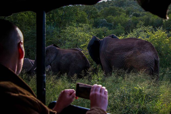 iSimangaliso Wetland Park, Night Drive Safari - Why Choose This Night Drive?