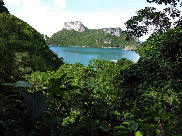 Island Exploration around Ang Thong Marine Park - Considerations & Potential Drawbacks