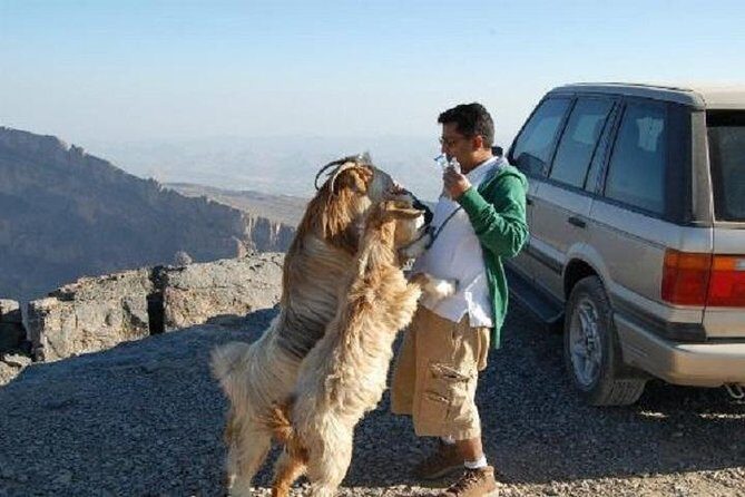 Jabl Shams with Nizwa for tours and sightseeing - The Transport and Guide