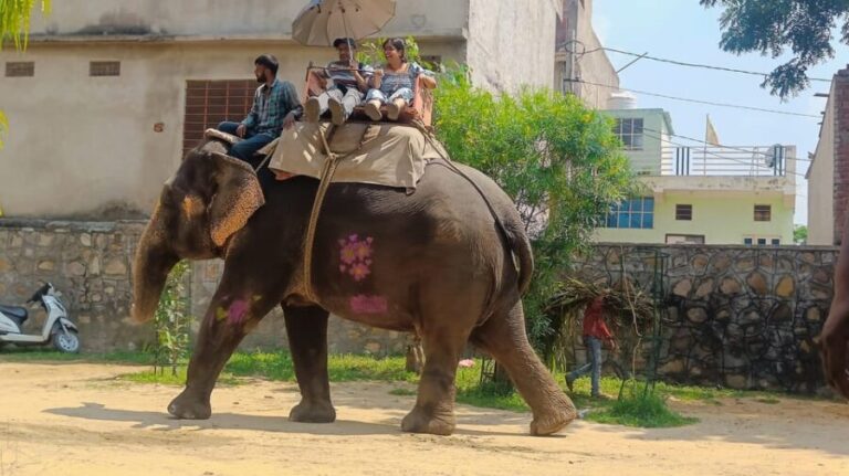 Jaipur 2 Day Private Tour With Guide - A Breakdown of the Itinerary