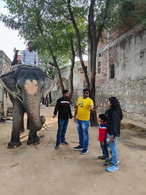 Jaipur: Full-Day city Tour By AC vehicle with Guide - Is the Price worth it?