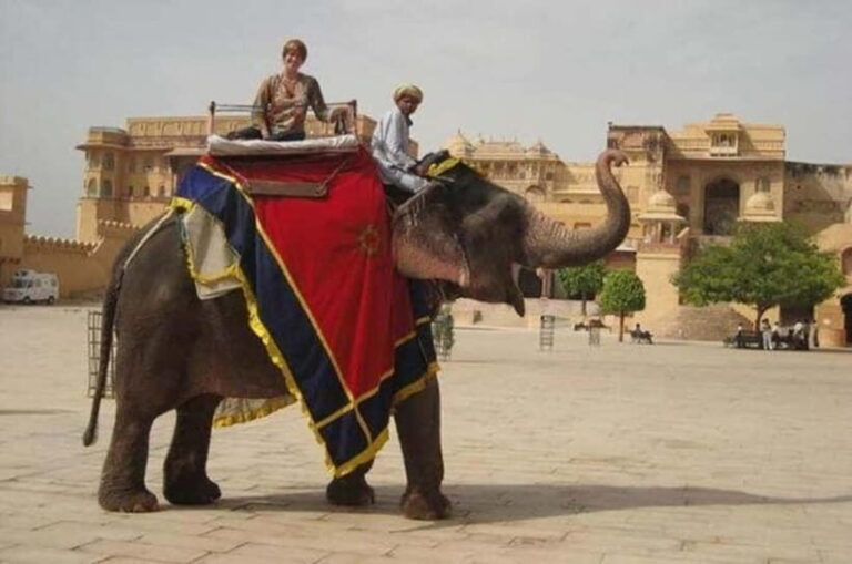 Jaipur: Full-Day Sightseeing Tour By Car with Guide - What to Expect and How It Enhances Your Visit