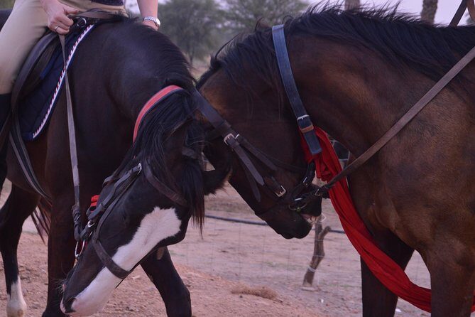 Jaipur Horse Riding Adventure - Authenticity and Cultural Connection