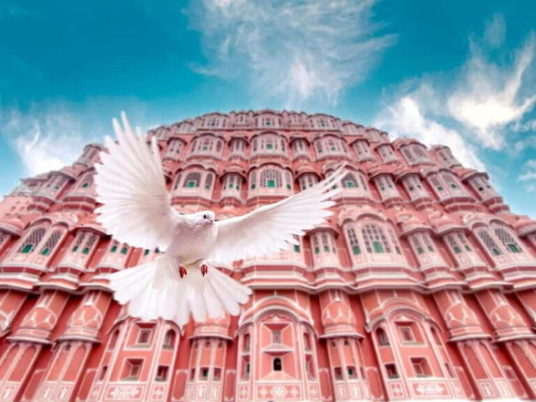 Jaipur: Private Full-Day City Tour with Female Guide - What Makes This Tour Stand Out