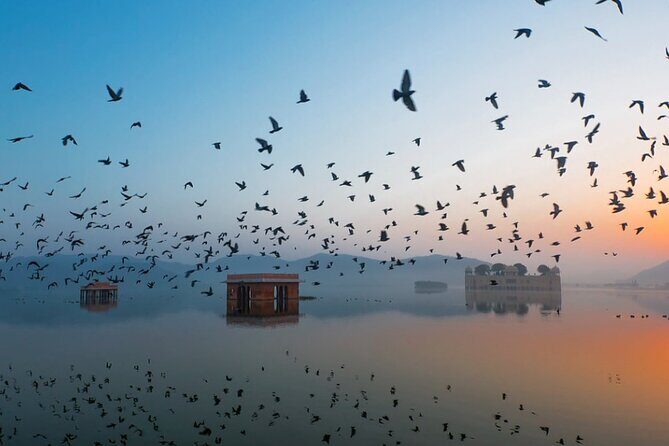 Jaipur Sunrise Tour with Morning Flower Market Walk - Transportation and Price