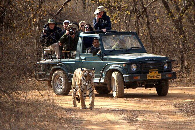 Jaipur to Ranthambore National Park Private One Day Trip - Why This Tour Offers Good Value