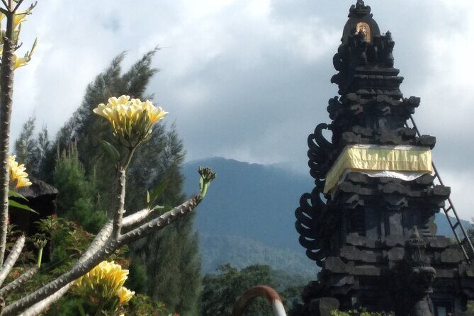 Jakarta Bogor Botanical Garden, Waterfall and Rice terrace, Lunch - Who Will Love This Tour?