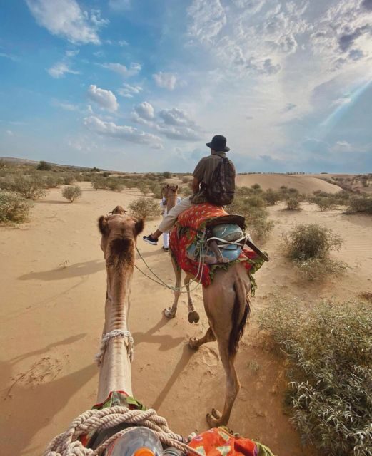 James Desert Experience - Early Morning Magic