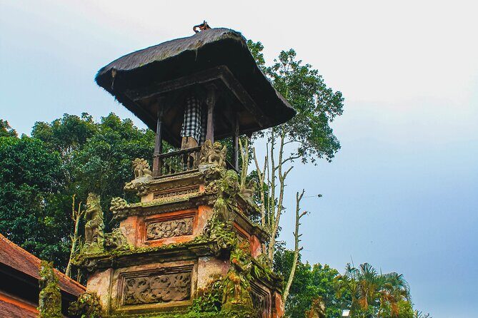 Jatiluwih Batukaru Mountain Nature's Best Tour - Price, Value, and Considerations