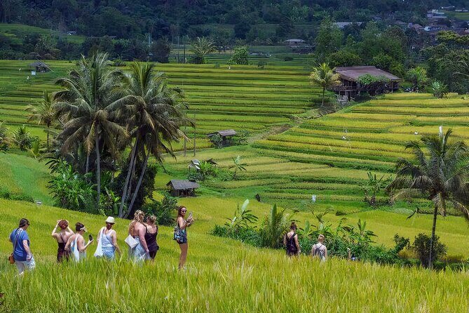 Jatiluwih Spiritual Journey of Melukat with Rice Terrace View - Value and Practical Considerations