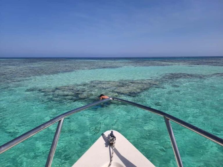 Jeddah: Bayada Leisure Boat Trip with Snorkeling - What to Expect: A Step-by-Step Breakdown