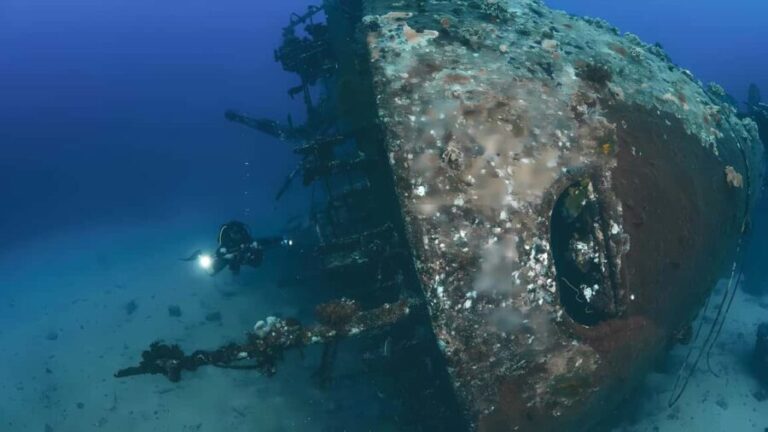 Jeddah: Boat trip to Bayada with Snorkeling & lunch - Who Will Love This Tour?