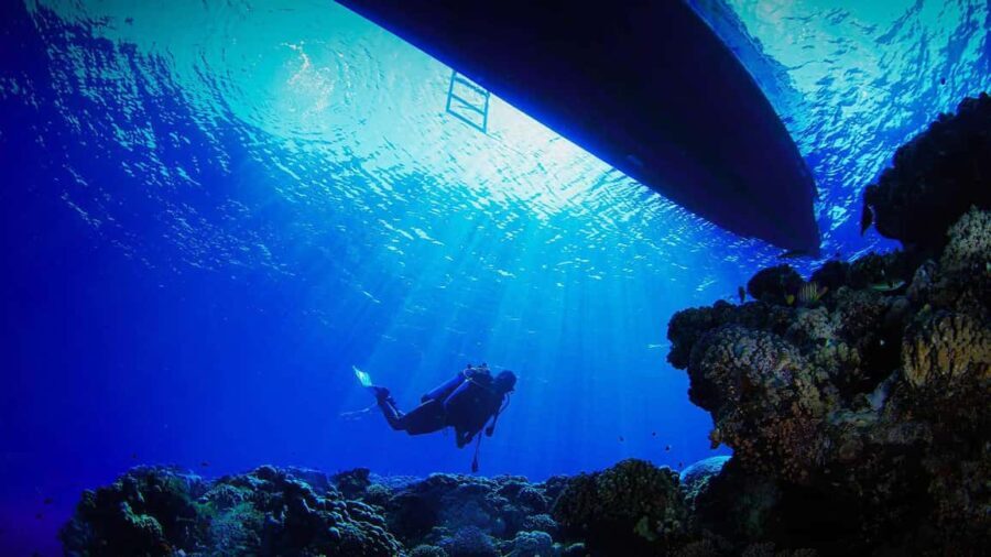 Jeddah's Oceanic Wonders: Dive into the Red Sea - What Makes This Tour Special