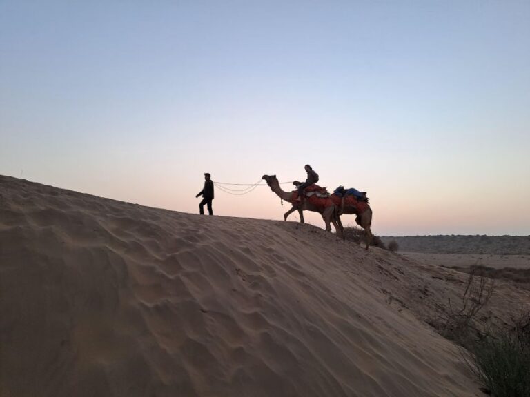 Jeep & Camel Ride, Musical Evening in The Desert Luxury Camp - Timing & Group Size