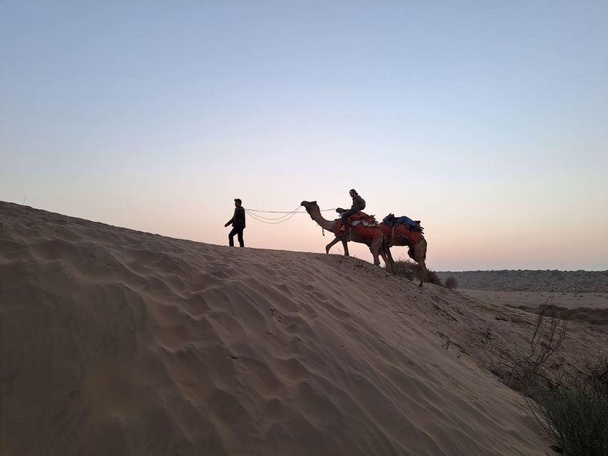 Jeep & Camel Ride, Musical Evening in The Desert Luxury Camp - Timing & Group Size