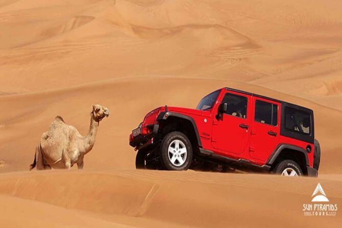 Jeep Desert Super Safari, Quad Bike, Camel Ride, Star Watching & Bedouin Dinner - What Travelers Are Saying