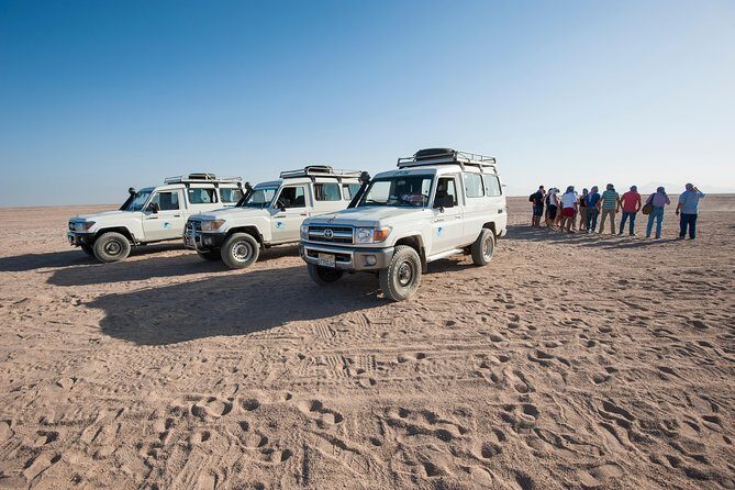 Jeep Super Safari Excursion Sunset, Camel Ride, Bedouin Dinner - Marsa Alam - The Strengths and Limitations