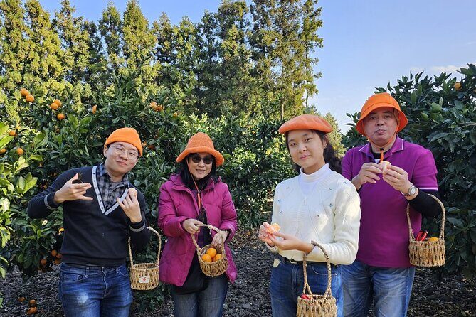 Jeju island Jumbo taxi Private Tour with Mr.Hong west of jeju - The Sum Up
