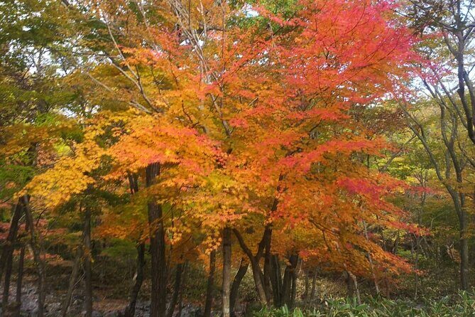 Jeju Island Private Taxi Tour: Mt. Hallasan and Waterfalls - Stop 3: Cheonjeyeon Falls
