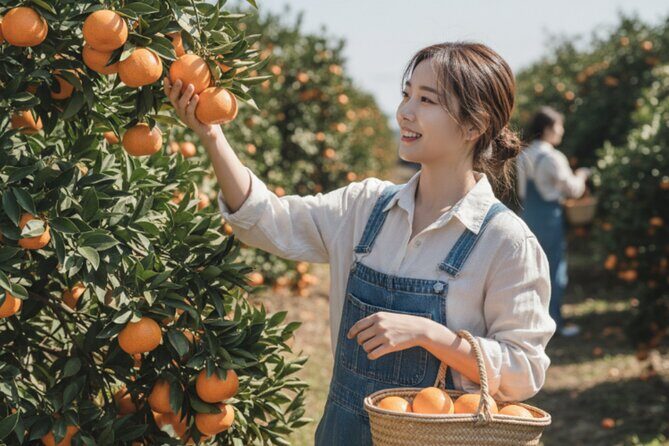 Jeju Island Taxi Join Tour - The Experience and What Makes It Special