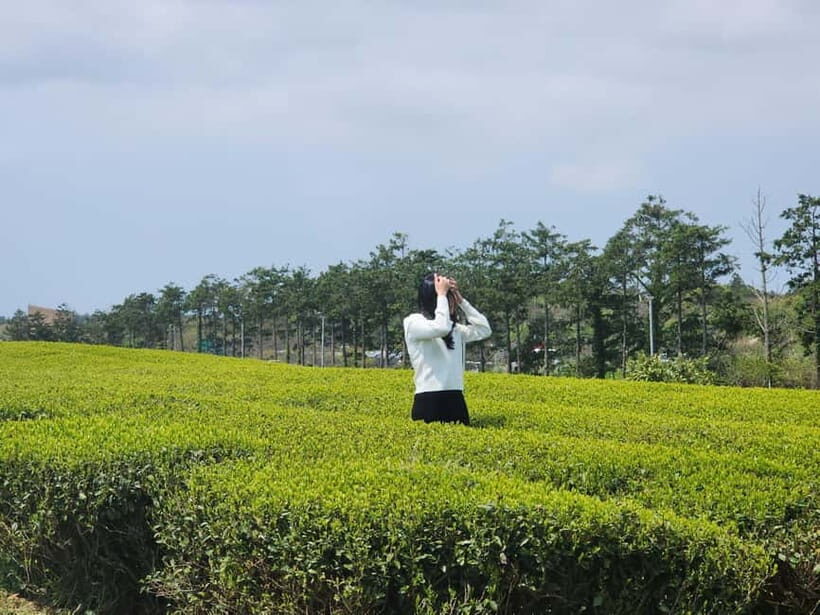 Jeju: West & South Full-Day Authentic Tour - The Itinerary: Highlights and Real Experiences